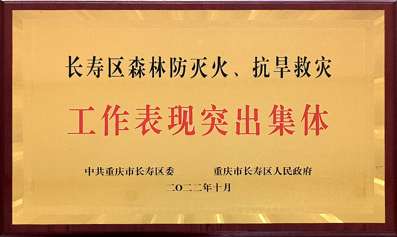 長壽區(qū)森林防滅火、抗旱救災(zāi)工作表現(xiàn)突出集體